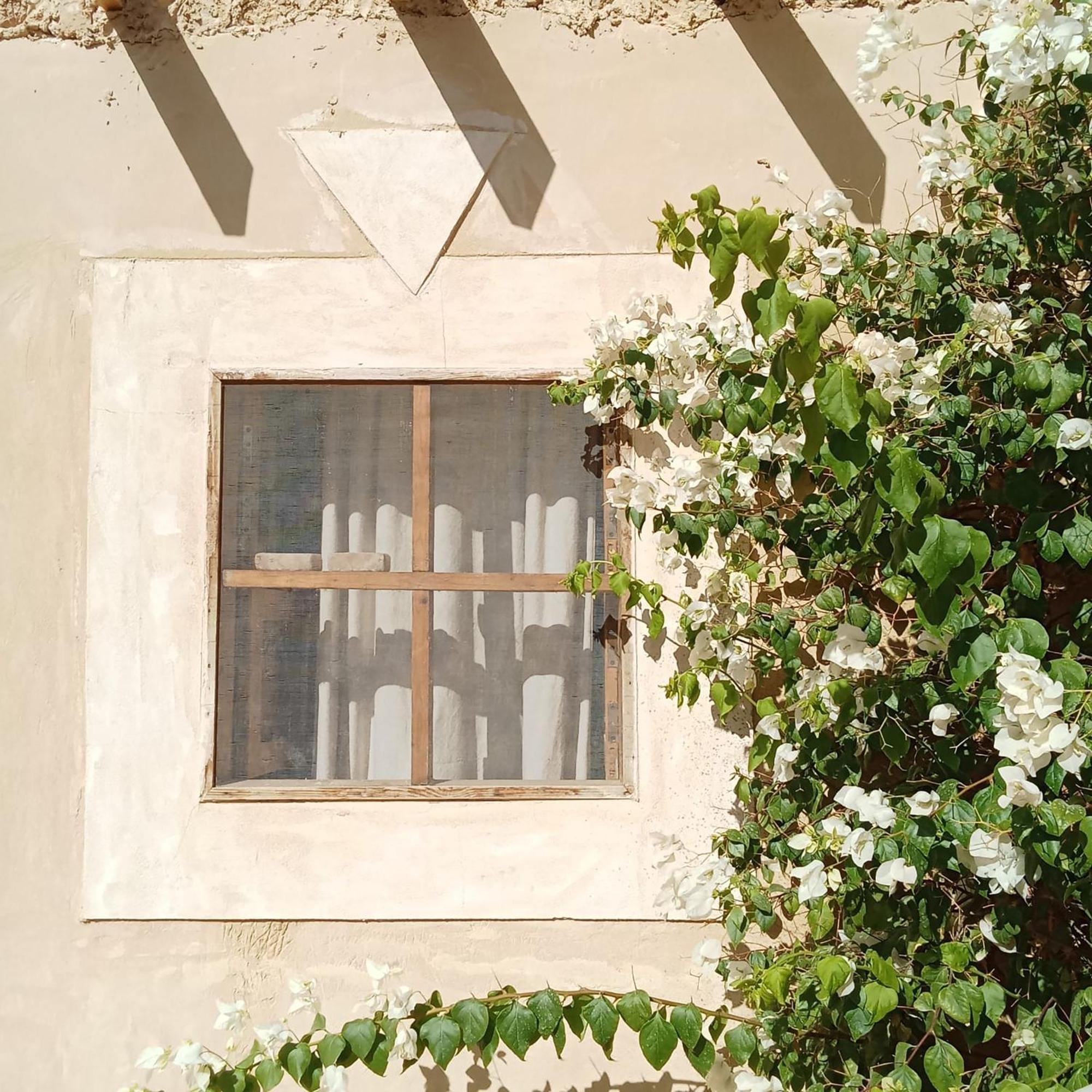 Tanirt Ecolodge Siwa Oasis Εξωτερικό φωτογραφία