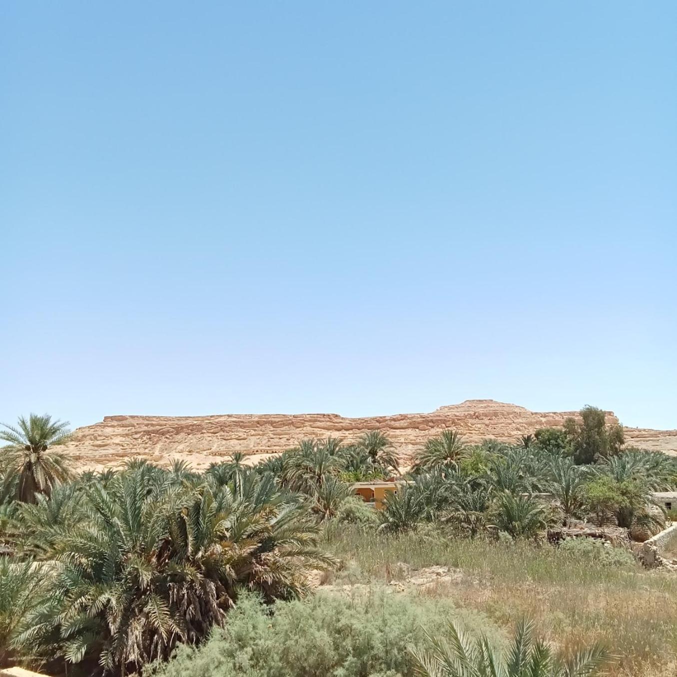 Tanirt Ecolodge Siwa Oasis Εξωτερικό φωτογραφία