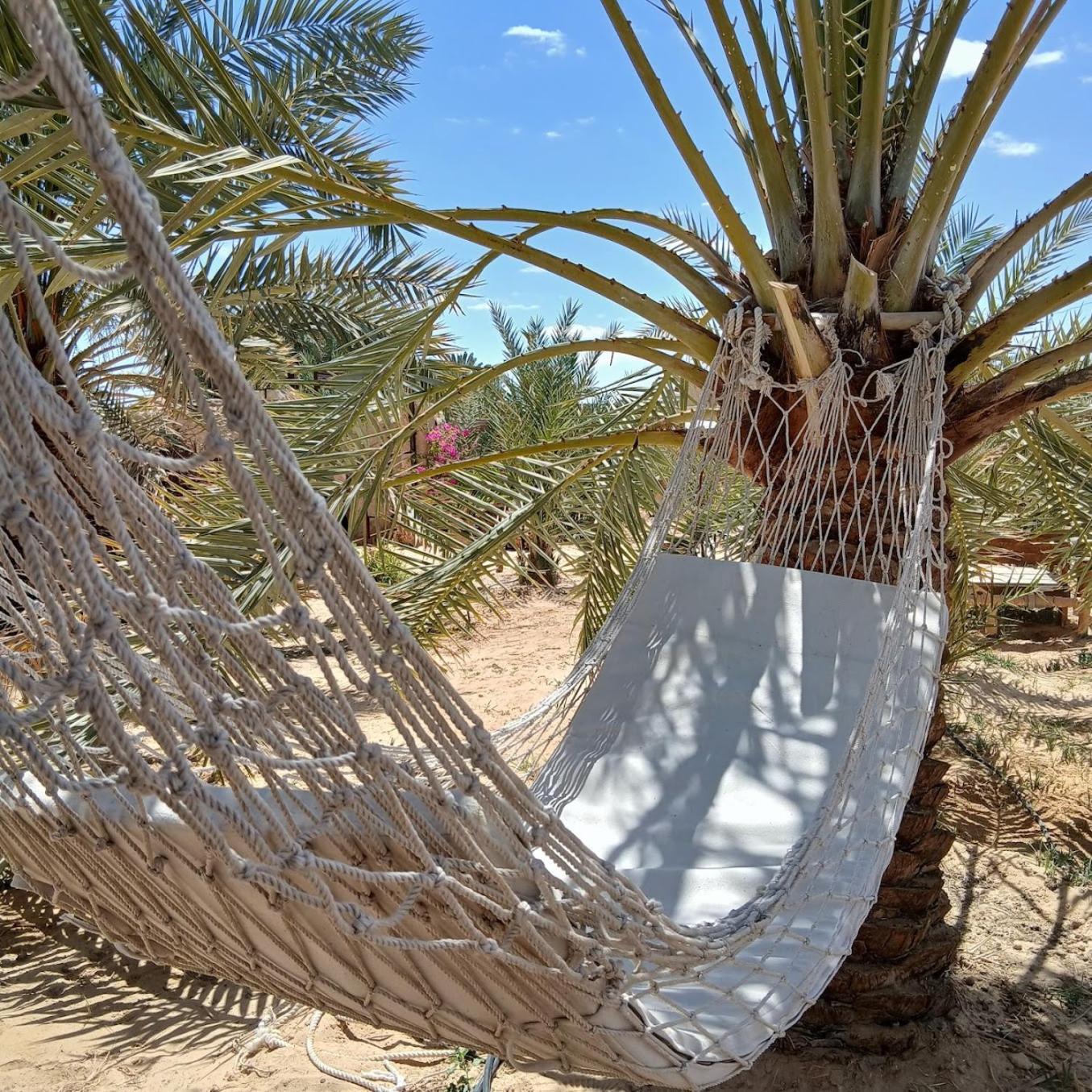 Tanirt Ecolodge Siwa Oasis Εξωτερικό φωτογραφία